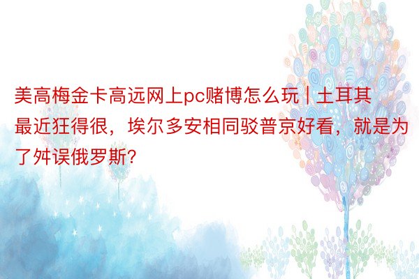 美高梅金卡高远网上pc赌博怎么玩 | 土耳其最近狂得很，埃尔多安相同驳普京好看，就是为了舛误俄罗斯？