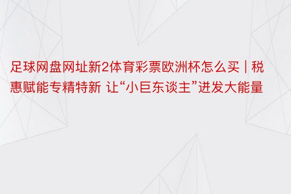 足球网盘网址新2体育彩票欧洲杯怎么买 | 税惠赋能专精特新 让“小巨东谈主”迸发大能量