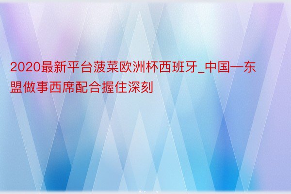 2020最新平台菠菜欧洲杯西班牙_中国—东盟做事西席配合握住深刻